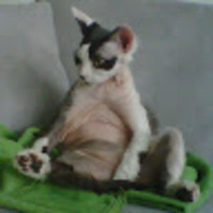 Meet your Posher, Kristy